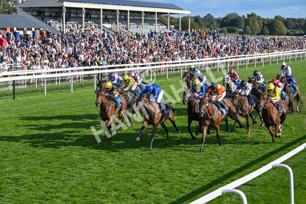 220825-Race 7-Fifth Column-7846 - Race 7 5.20pm Sky Bet Mile Handicap