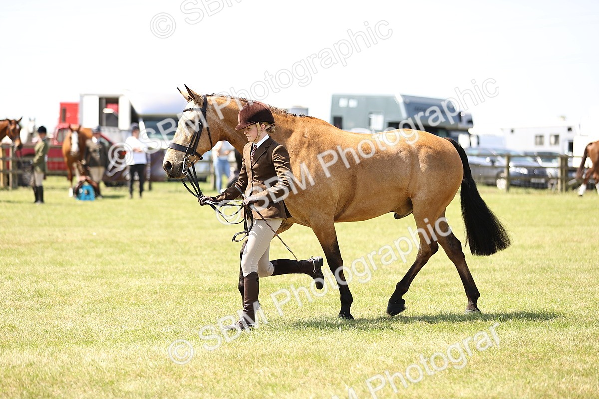 SBM_15202 - Class 79-80 - LIHS BSHA Rising Star Ridden Hunter