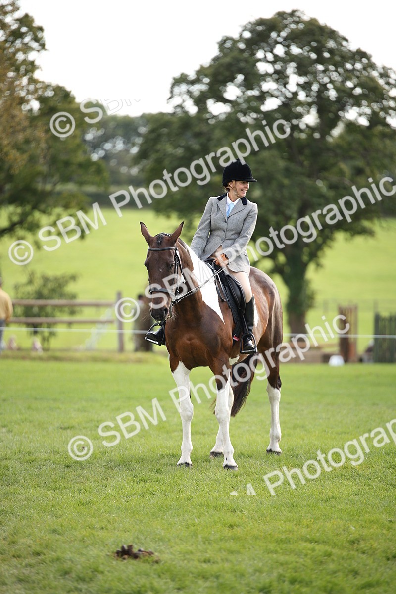 SBM_50196 - S26 - Young Veteran - Ridden