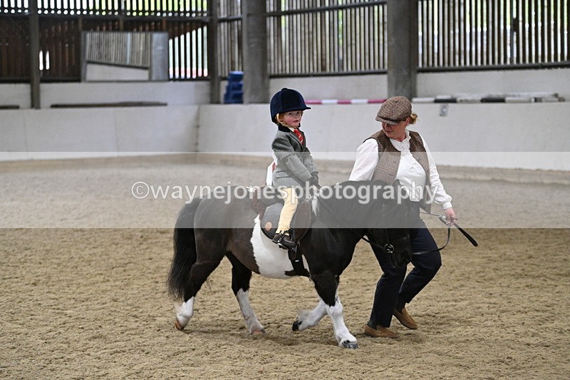 WJ7_4584 - Afternoon Champs