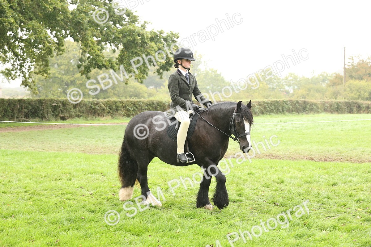 SBM_72651 - S70 - Traditional Cob Ridden