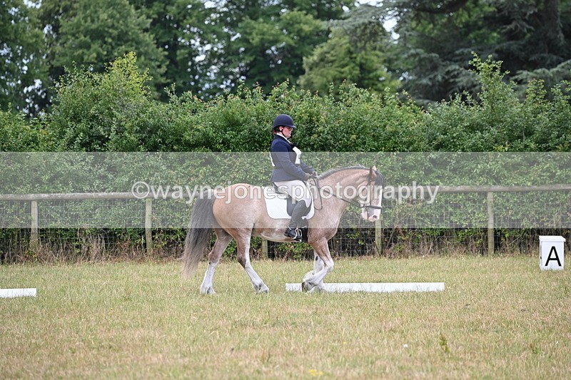 WJ6_3127 - Time 11:07 to 11:34