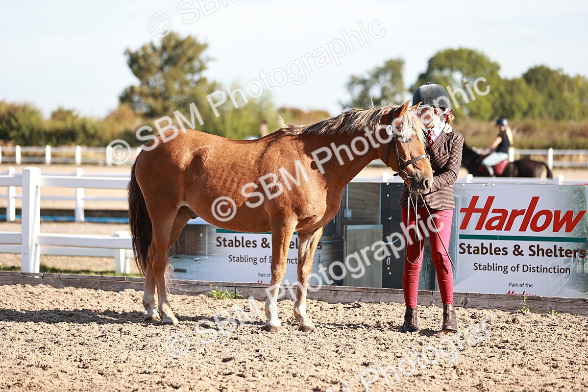 SBM_11367 - Class 402 - IH  Veteran pony