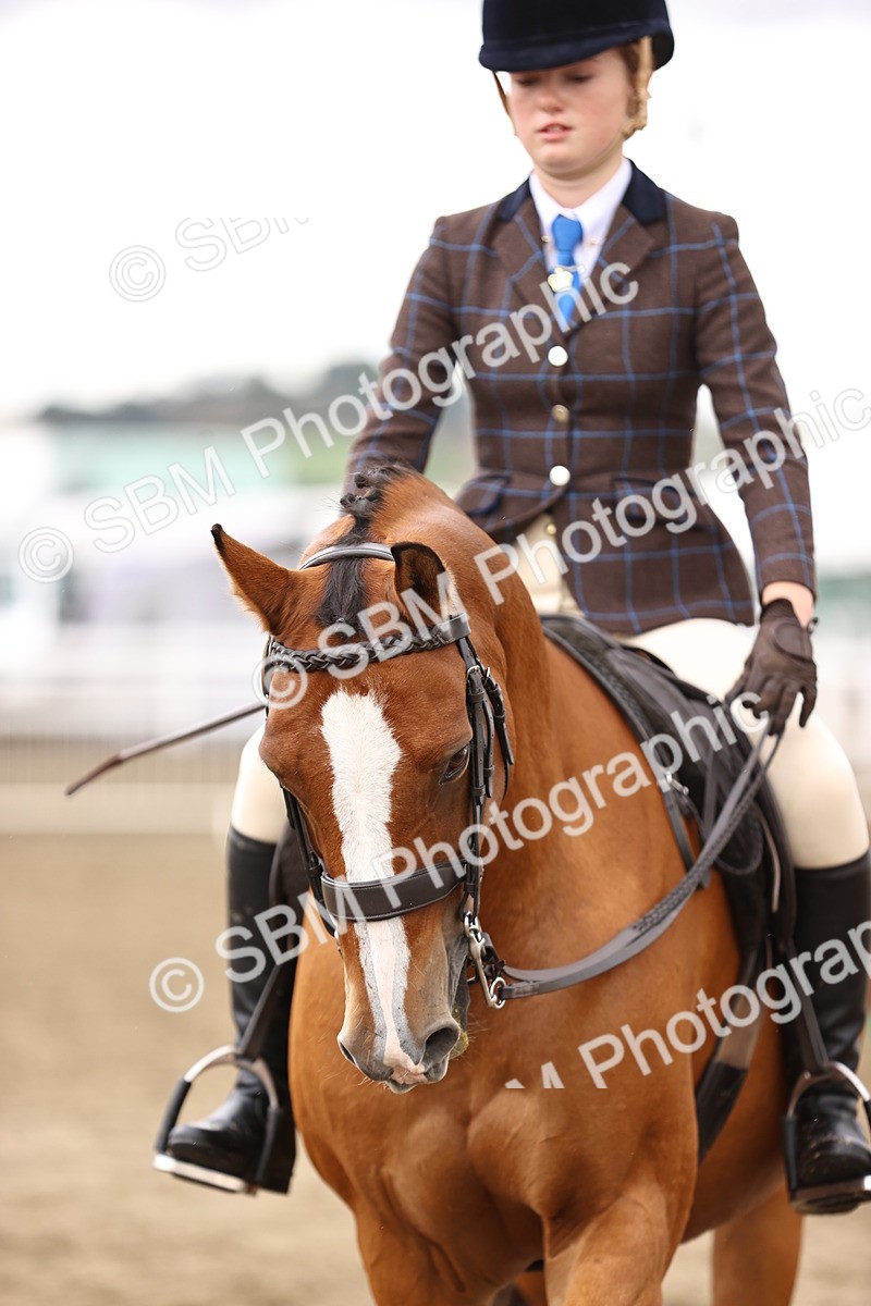 SBM_00643 - Class 53 - Ridden Competition Horse Pony