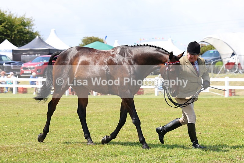 3E7A1178 - Class 8: Open Riding Horse/Hack