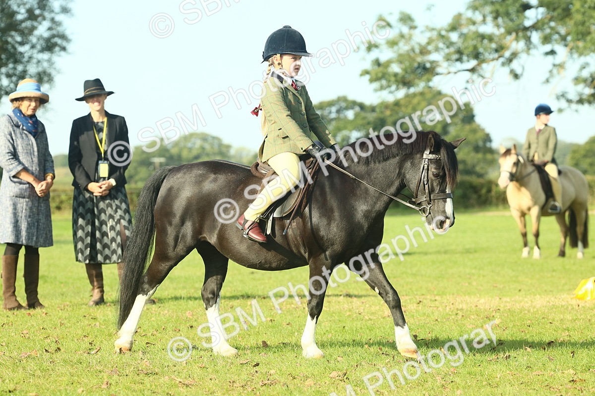 SBM_59218 - S38 - Starters Ridden Showing