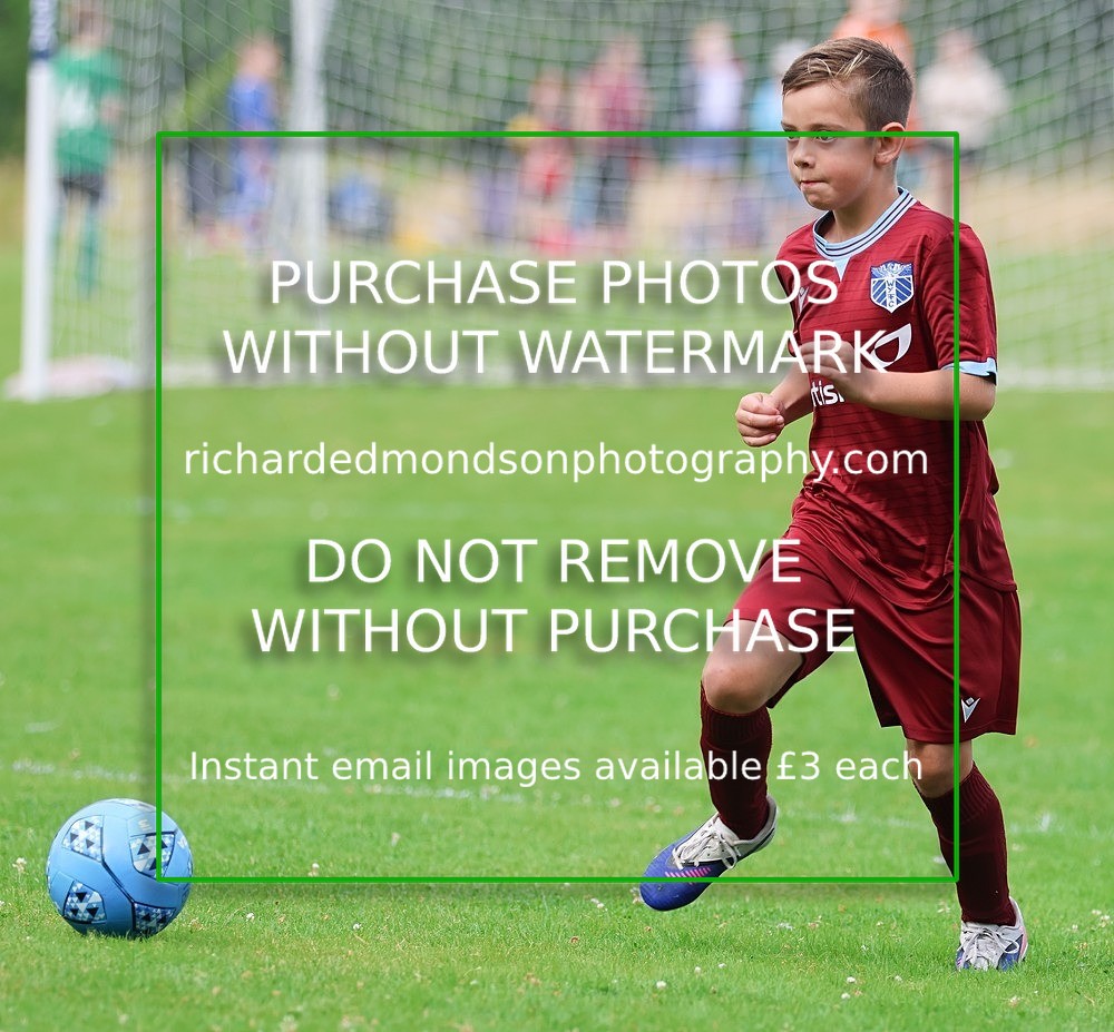 533A2013 - Wattsfield U8's