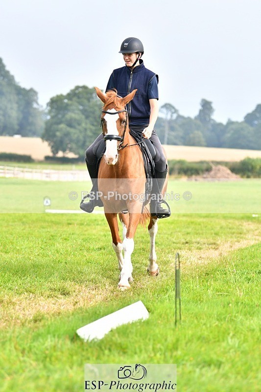 230817-091730-02514 - Abbie's 1st Group - Dressage