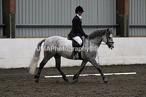 SIAL4012 - CAbin Dressage 5th july 2025