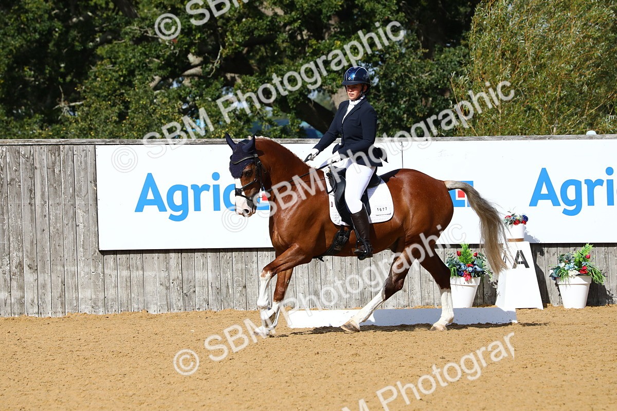 SBM_18292 - D31 - Grand Tour PYO Open .