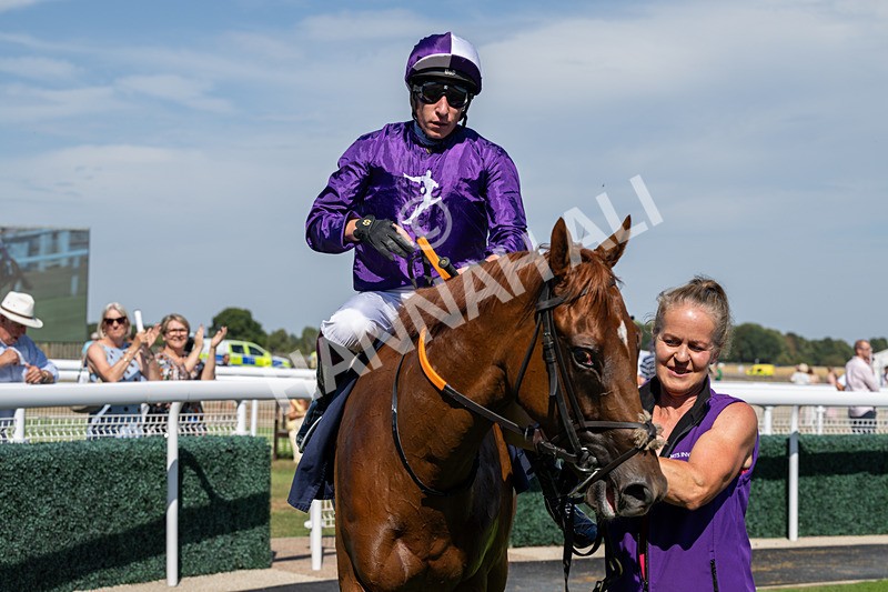 120826-Race 2-Empire Rising-5714 - Race 2 14.45pm 911 At Porsche Centre Hull EBF Restricted Maiden Stakes