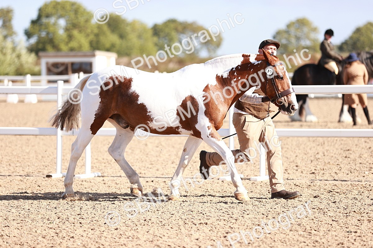 SBM_22064 - Class 703 - IH Coloured
