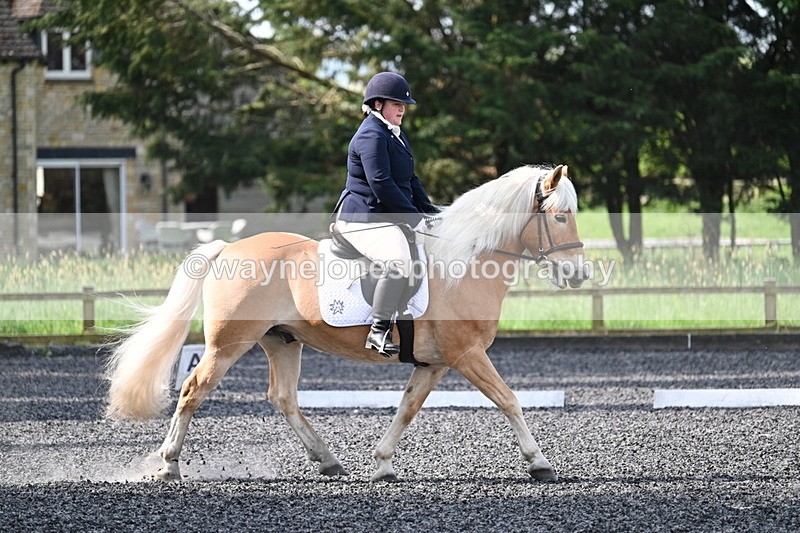 WJ7_8010 - Time 10:11 to 10:27