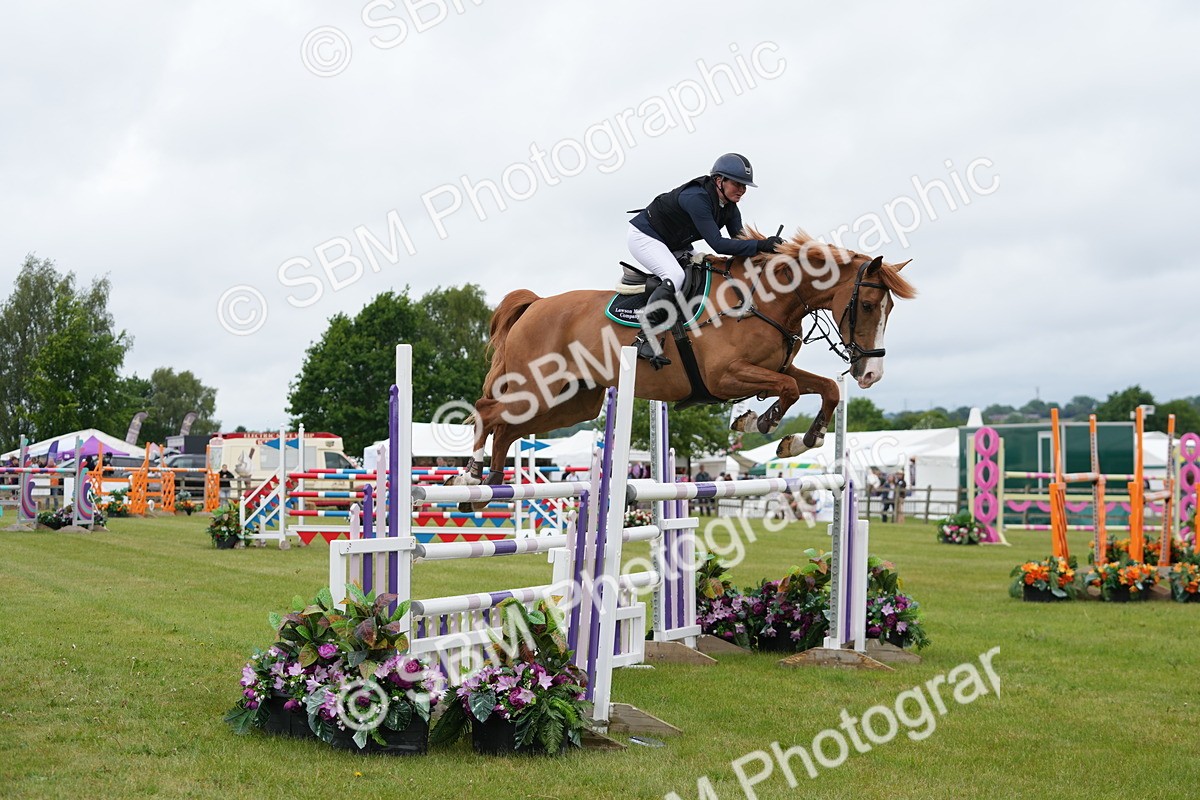 SBM_03284 - Class 201 - British Horse Feeds Speedi Beet Horse of the Year Show Grade  C