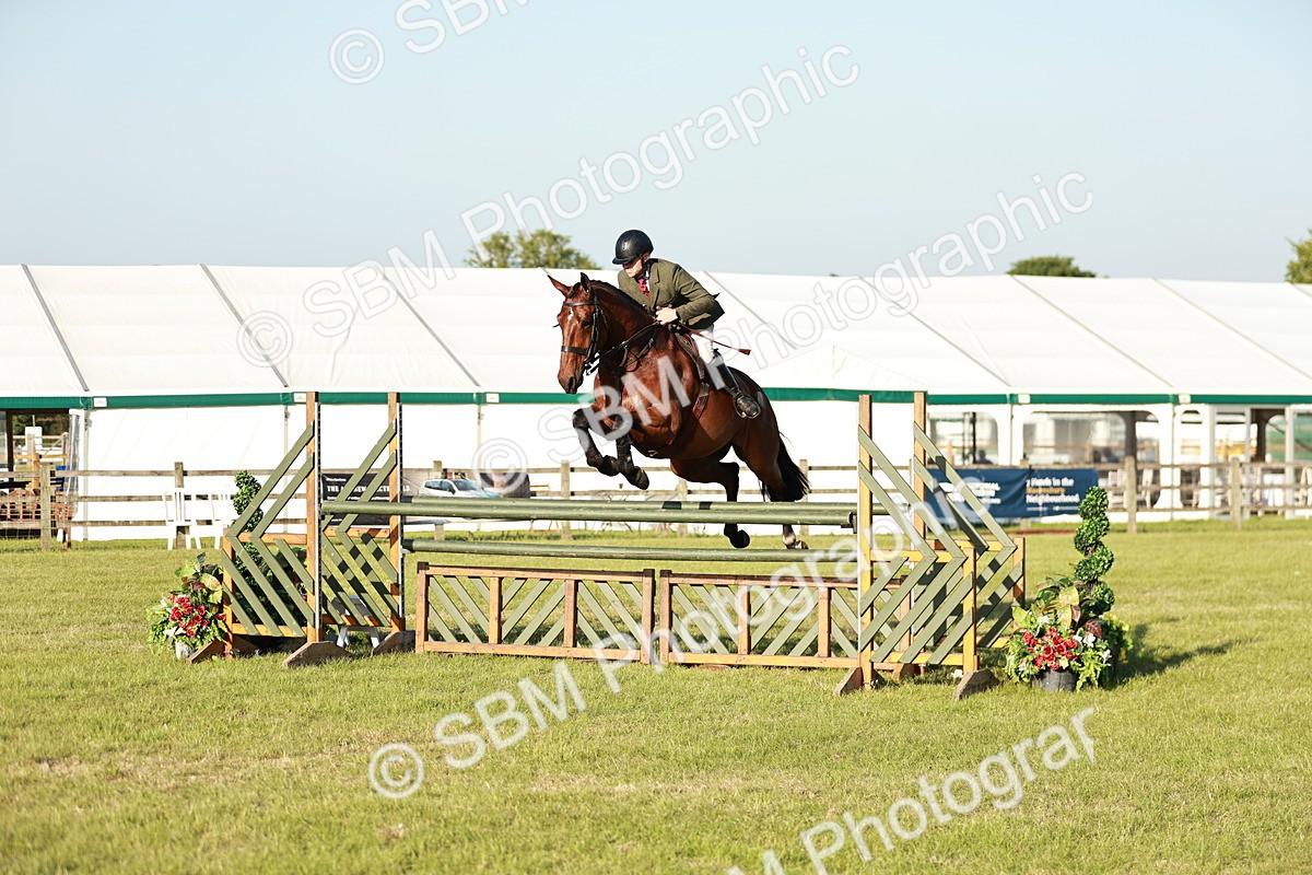 SBM_20367 - Class 117-119 - Sport Horse Working Hunter