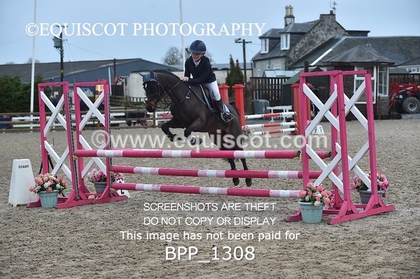 BPP_1308 - CLASS 5 Pony BritiNovice / 0.80m Open