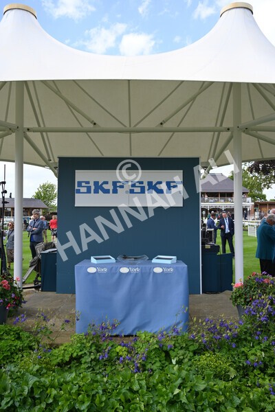 yr10062022r2-67 - Race 2 2.30pm SKF Rous Selling Stakes