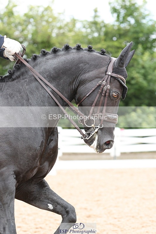 240622A-141819-13443 - Cls 33 BD Medium 73