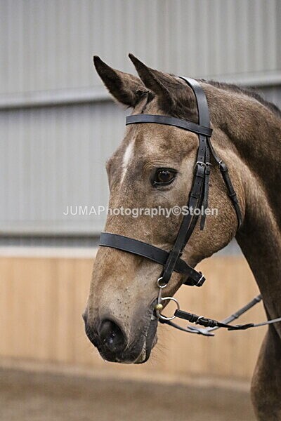 SIAL2696 - Sunday 14th Ridden