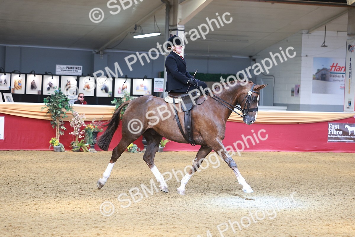 SBM_12554 - Class 103 - HOYS Veteran Qualifier - Ridden Pre Vet