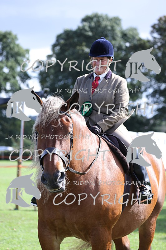 APP_3759 - Class 8 Ridden Class