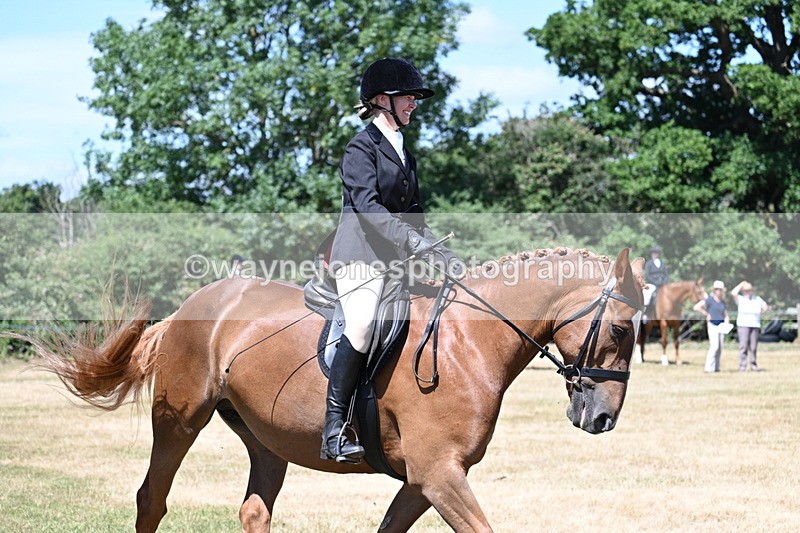 WJ7_2993 - Class 7 Riding Club Show Horse
