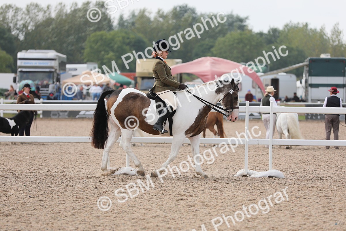 SBM_12650 - Class 307 Ridden Coloured Pony