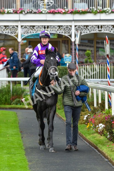 131023-Race 1-Pilgrim-9085 - Race 1 2.05pm William Hill EBF Novice Stakes