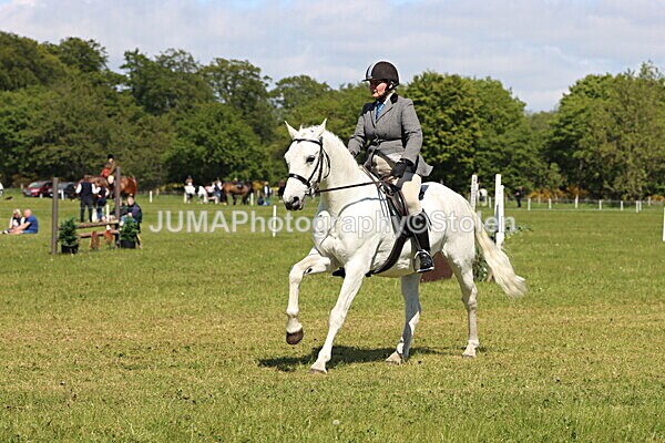 IMG_4188 - Working Hunter
