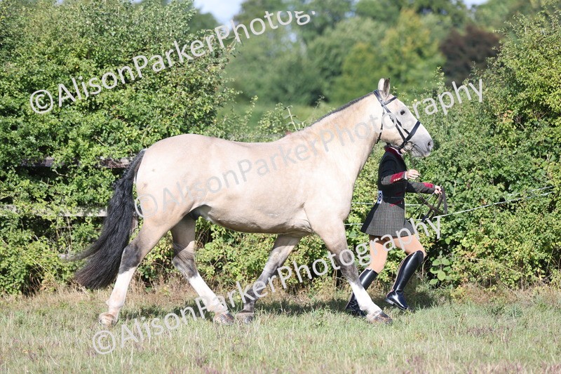 20250831-1363 - Class 21 - Inhand Open