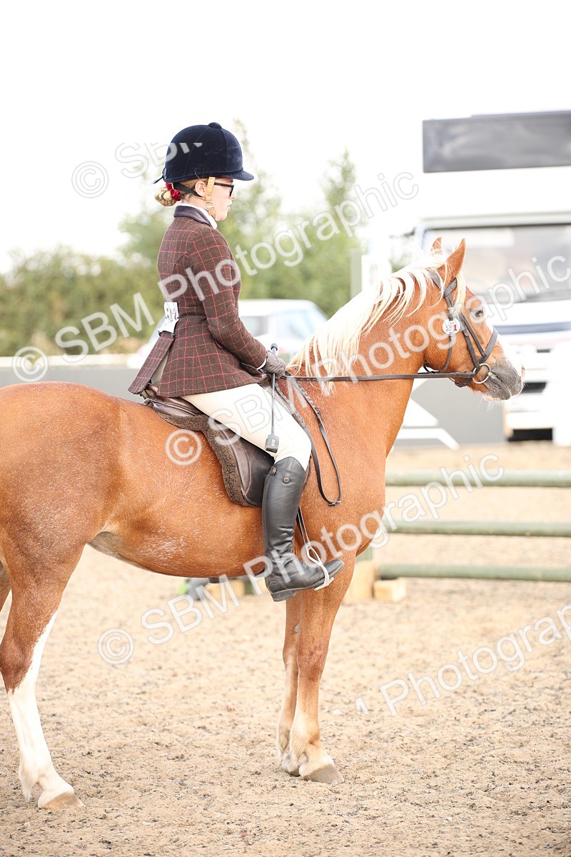 SBM_16019 - Class 408b - Working Veteran 70cm (20+)