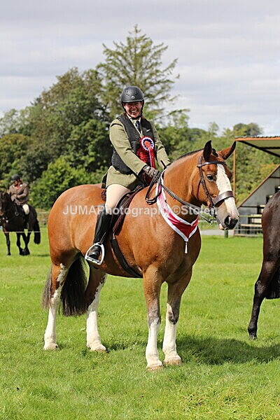 SIAL7536 - championships