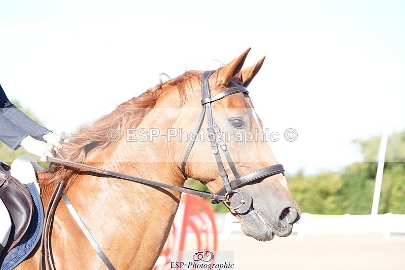 250802-090340-08233 - Cls 19 British Novice and 90cm Open