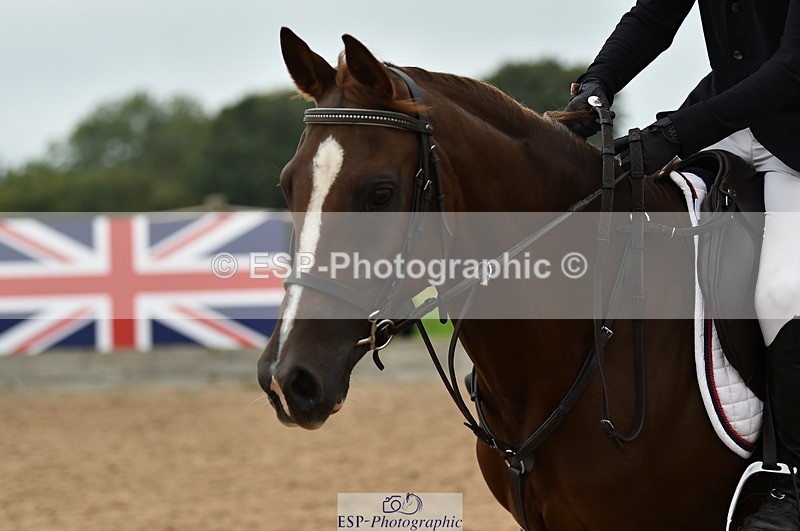 230902A-113154-00746 - Cls 2B Pony Small 80cm