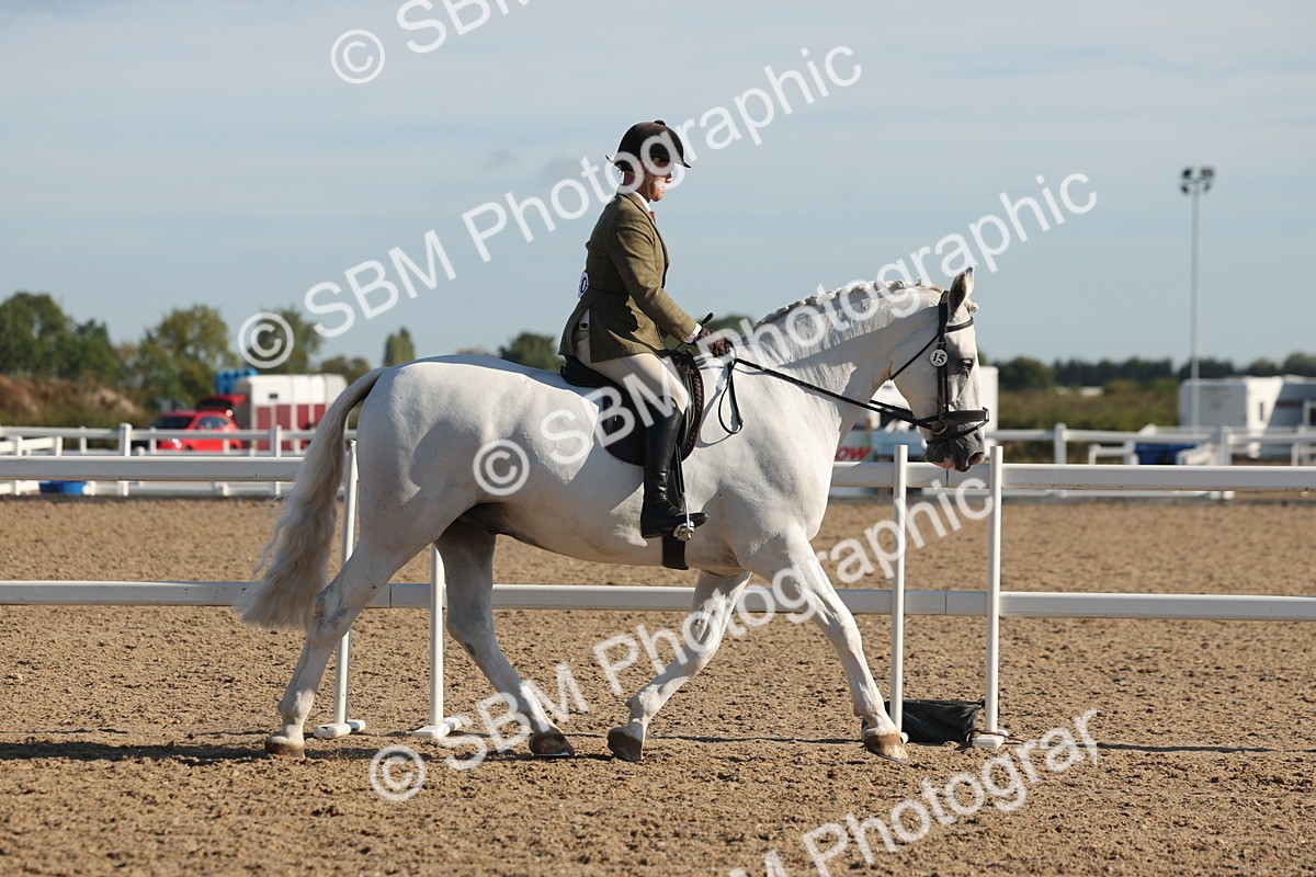 SBM_12160 - Class 303 - Ridden Pure Bred Horse Pony