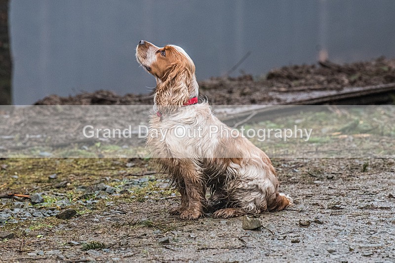 Glentress 21  10K-825 - High Terrain Events Glentress 21 & 10K Trail Runs Saturday 18th February 2023