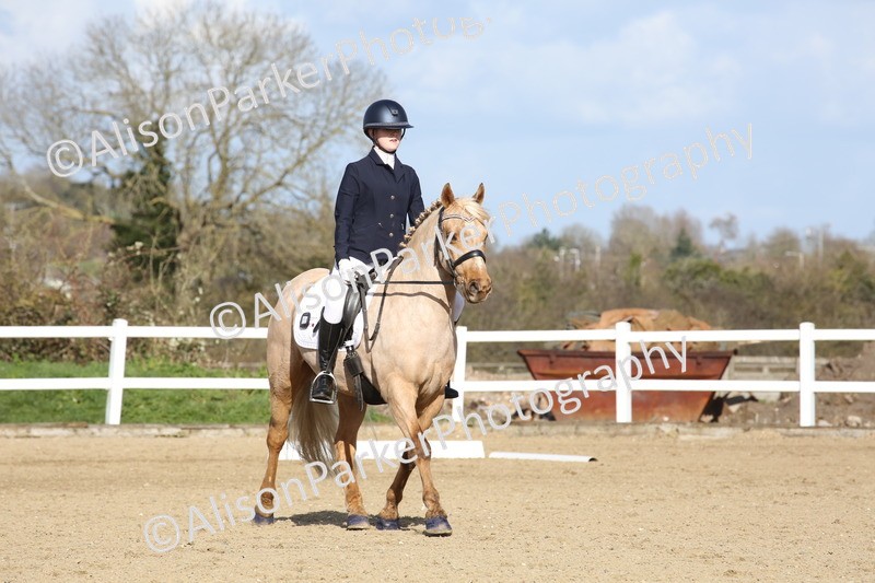 20260314-5164 - DR6 - Novice 2