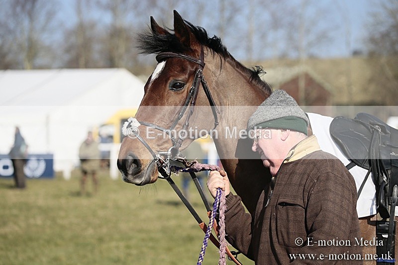 PtP 240218 125 - Vine & Craven Hunt Point-to-Point Barbury racecourse 24/02/18