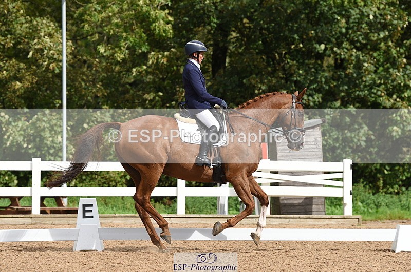 230912A-111310-00541 - Cls 7 Elementary 40