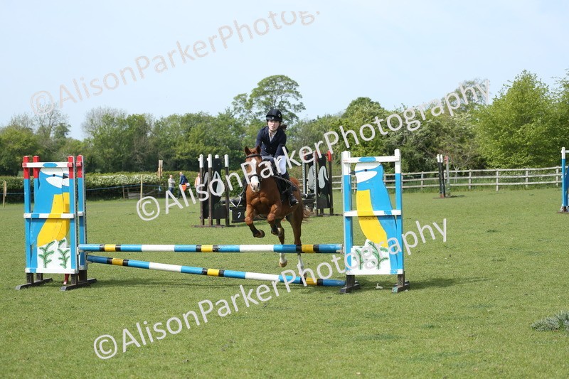 20260426-1721 - Class 14 - Novice 60cm