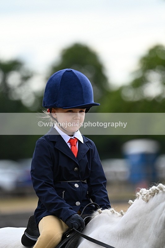 WJ7_9498 - Class 1 Lead Rein Pony