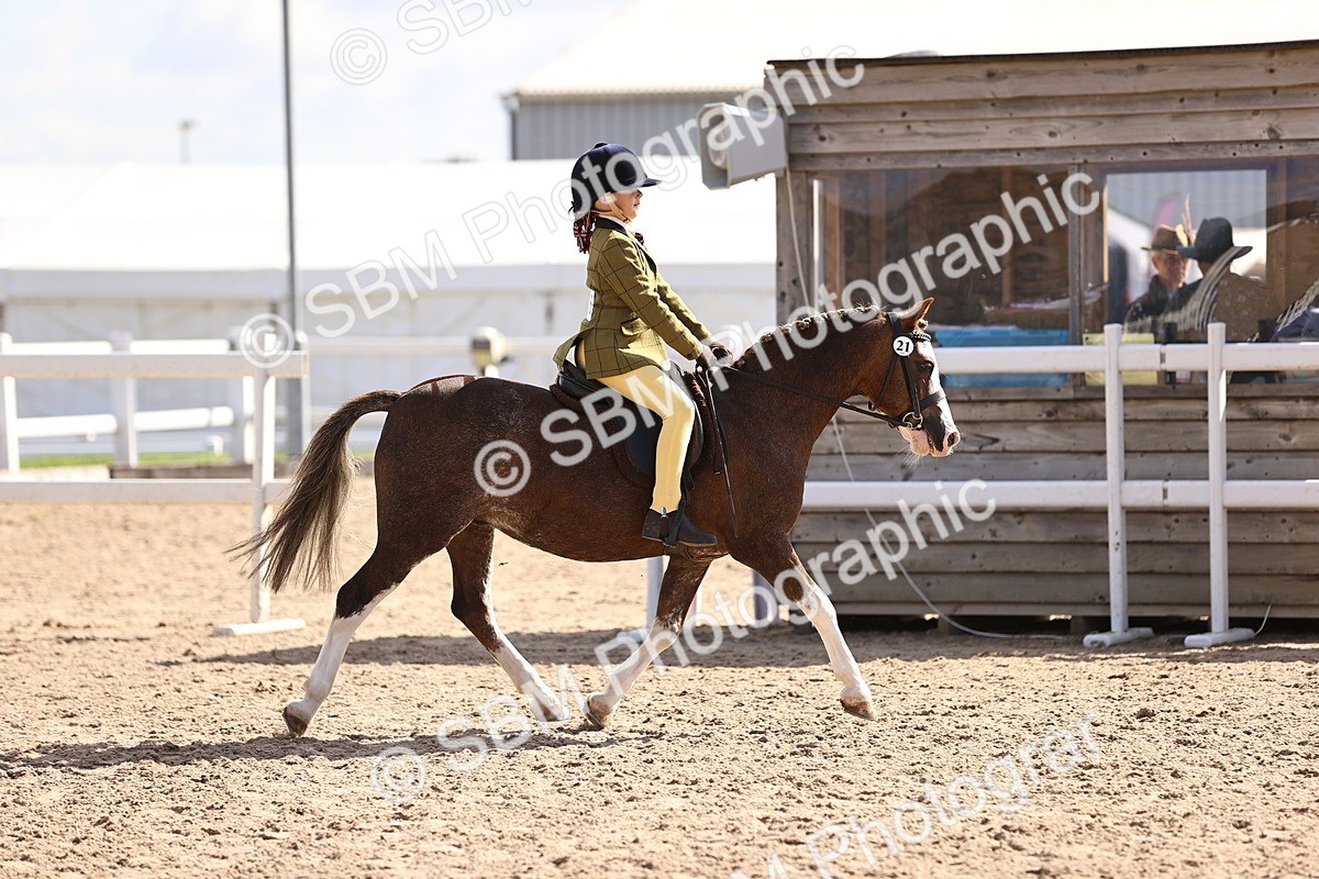SBM_11620 - Class 408 - Grassroots Ridden - Walk & Trot