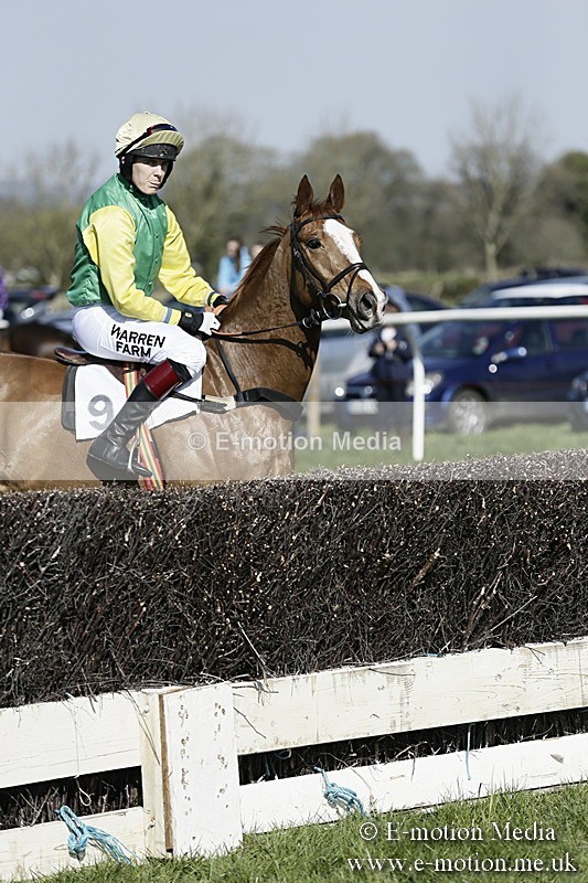 PtP 260317 178 - Mendip Farmers Point-to-Point Ston Easton 26/03/17