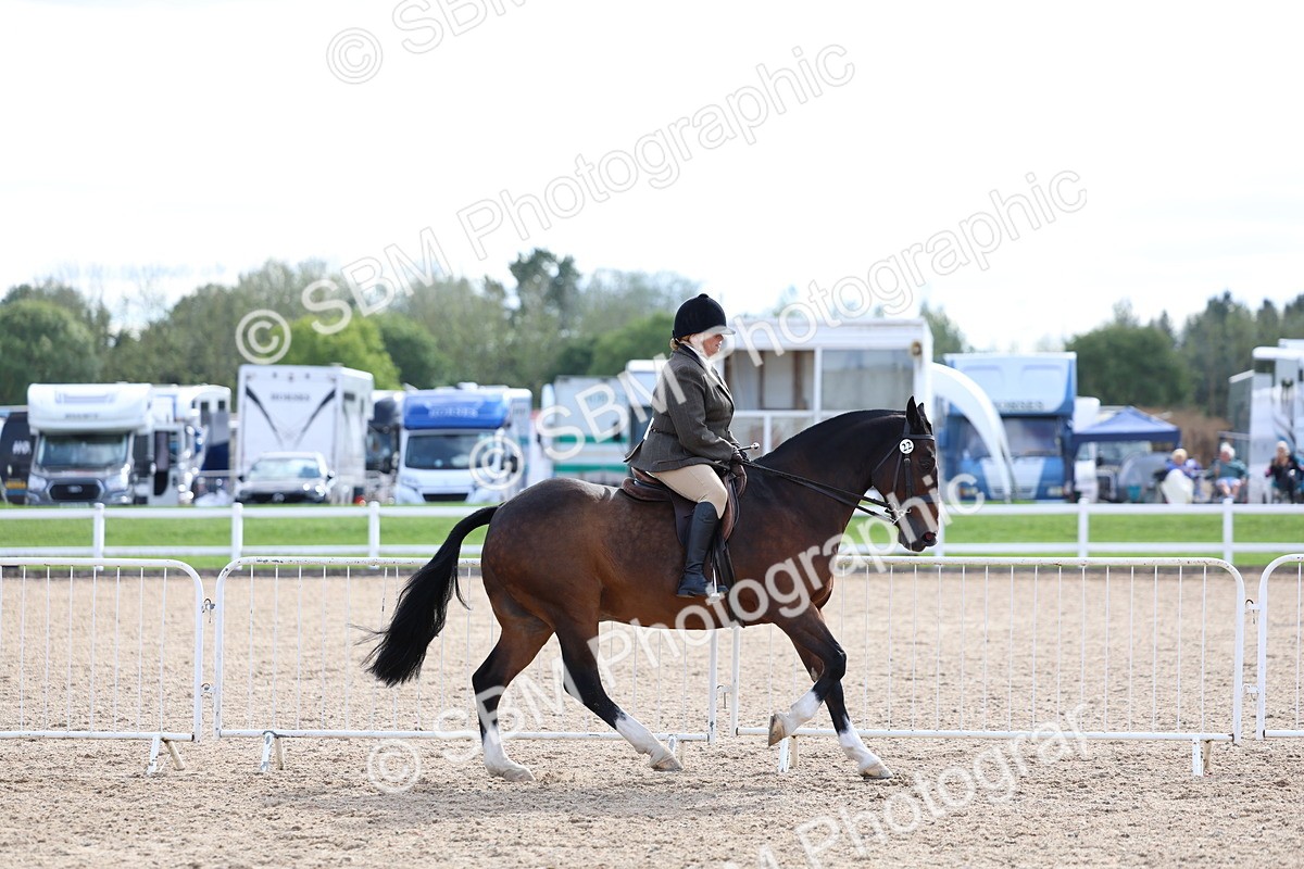 SBM_17134 - Class 315 - Best Horse - Rider Combination
