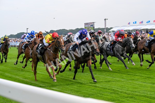 250725-Race 1-Pressures On - Quest For Fun-0221 - Race 1 5.30pm eventmasters.co.uk Handicap