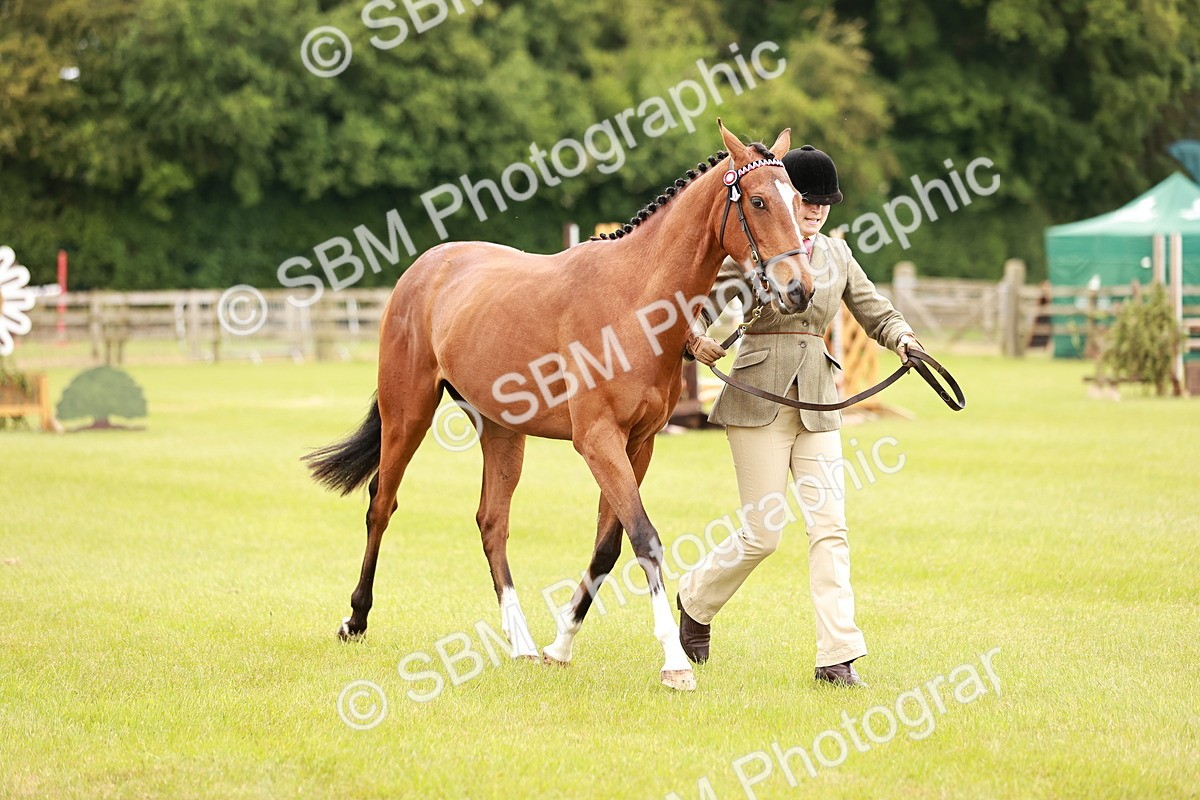 SBM_04777 - Class 35-38 Riding Horse Breeding