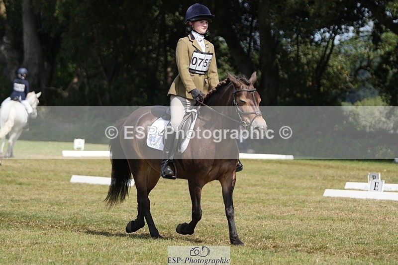 250823A-134729-31077 - Arena B