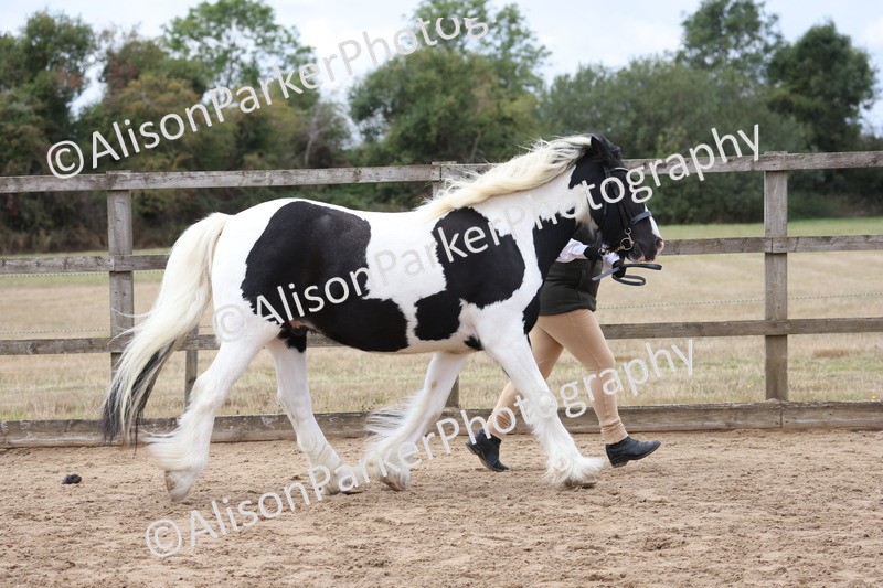 20260831-2315 - Class 8 - Open Cob