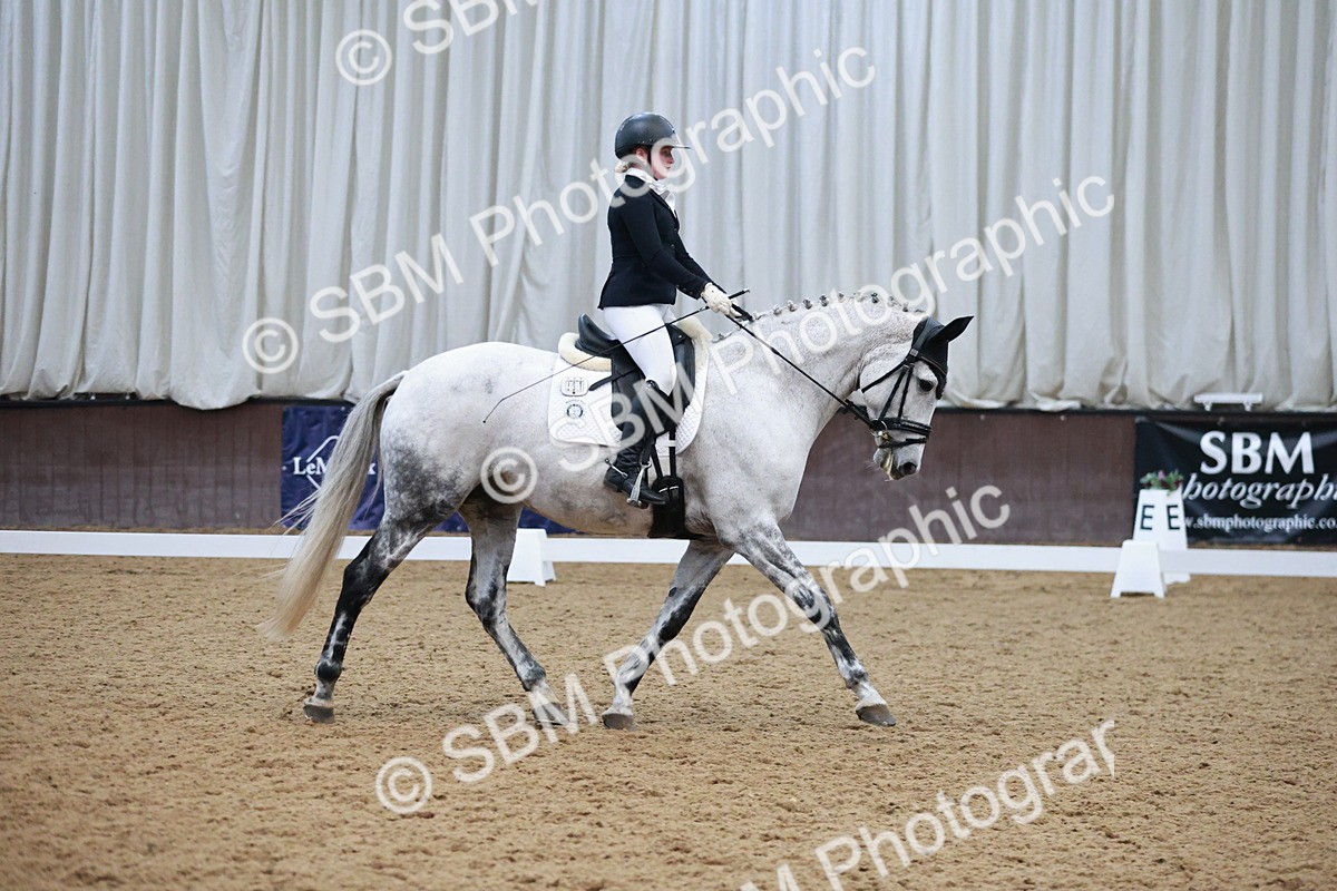 SBM_004521 - Ring 3 - International -  Working Hunter Classes 23-2-25