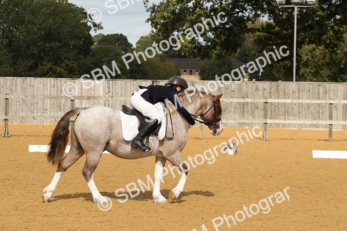 SBM_43712 - D21 - Junior Championship - Intro A